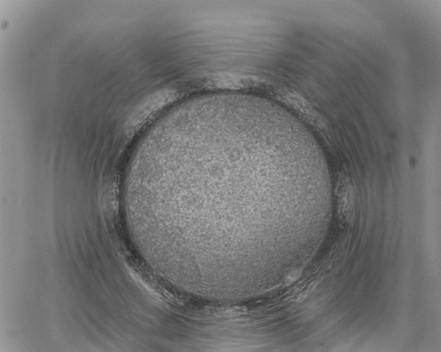 X0000064740683200602171708