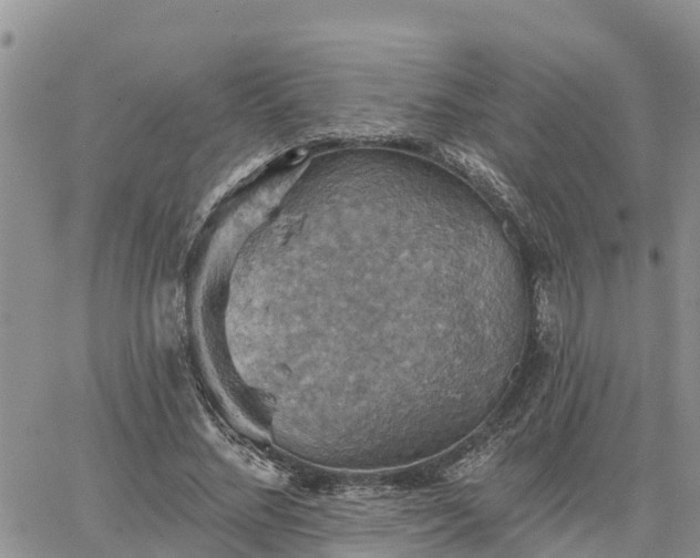 X0000064740684200602171708