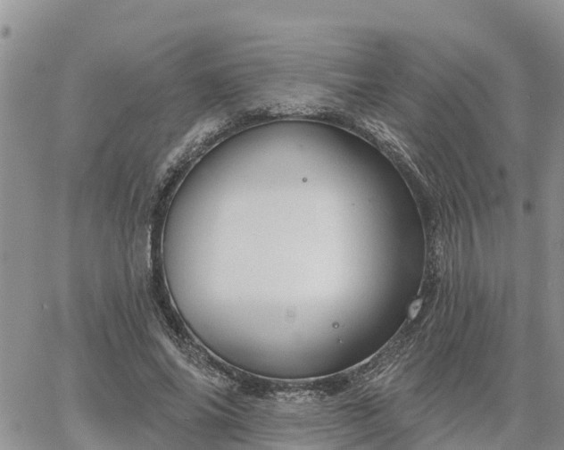 X0000064740686200602171708