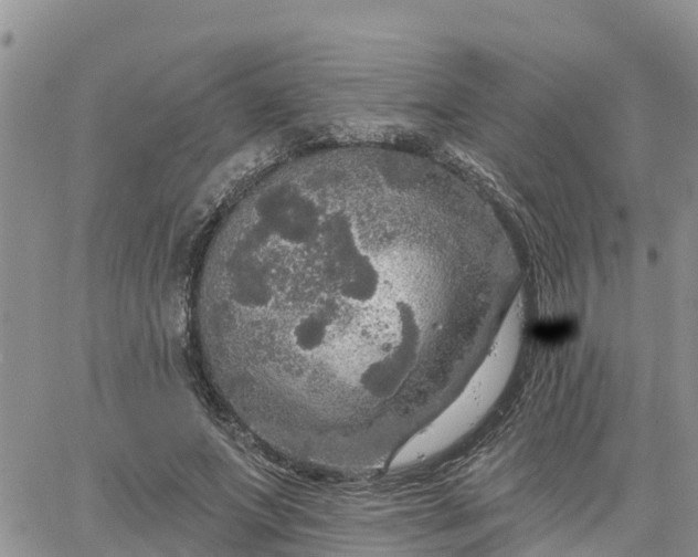 X0000064740687200602171708