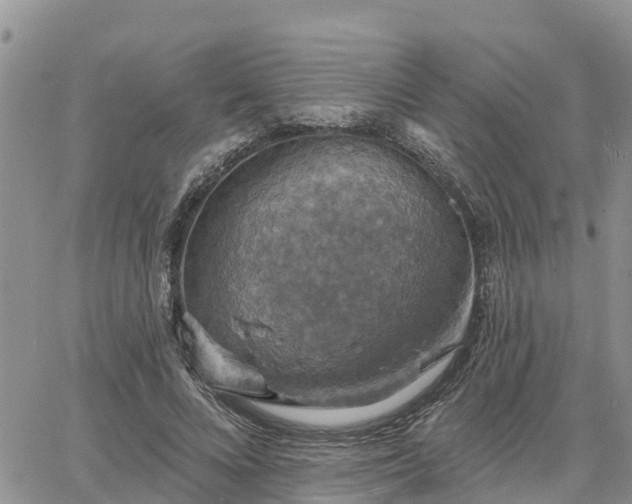 X0000064740688200602171708