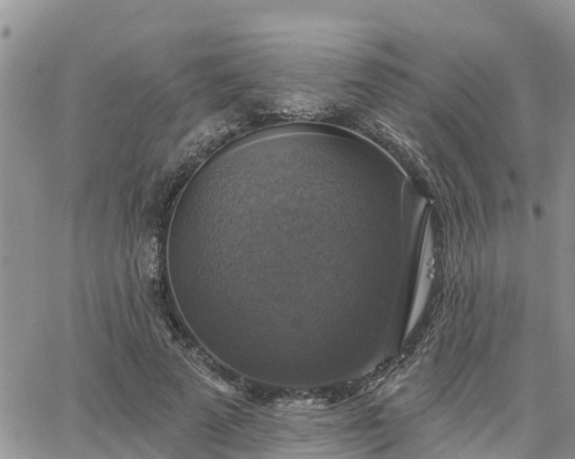 X0000064740689200602171708