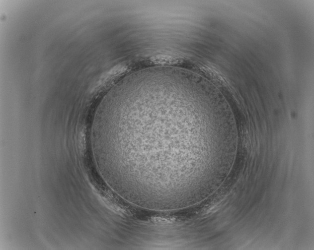 X0000064740690200602171708