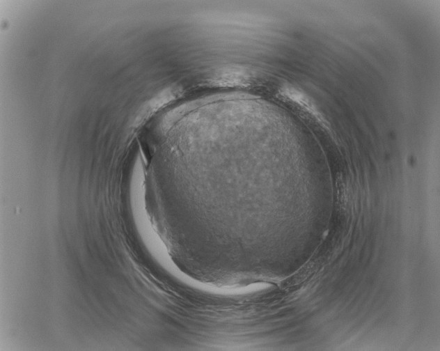 X0000064740692200602171708