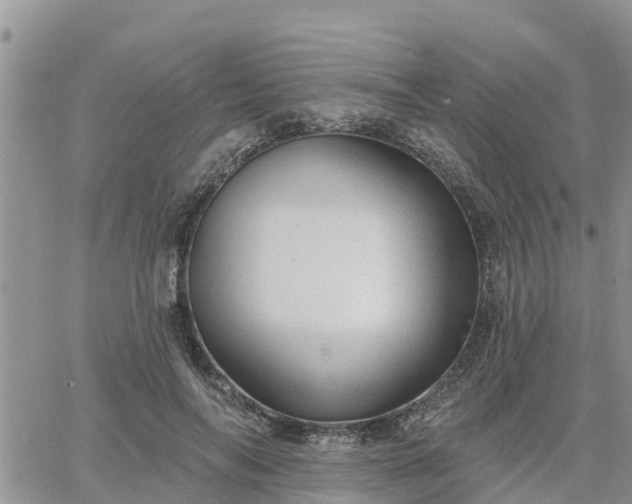 X0000064740694200602171708