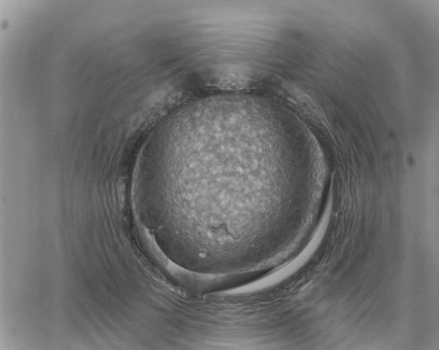 X0000064740697200602171708