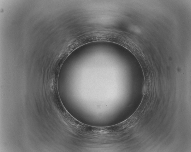 X0000064740698200602171708