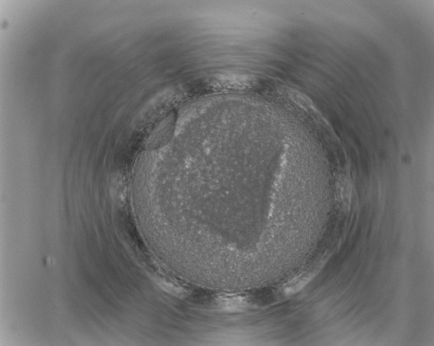 X0000064740701200602171708