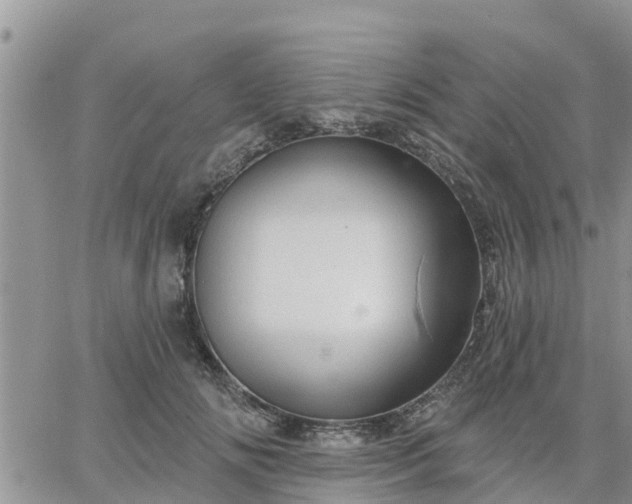 X0000064740702200602171708