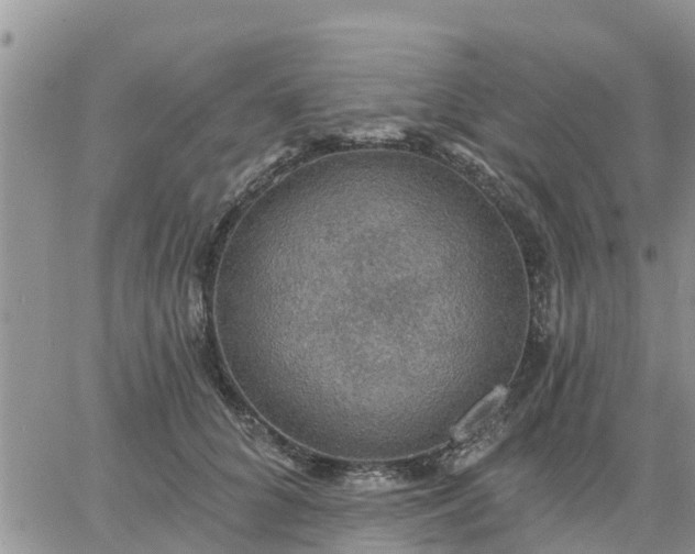 X0000064740704200602171707