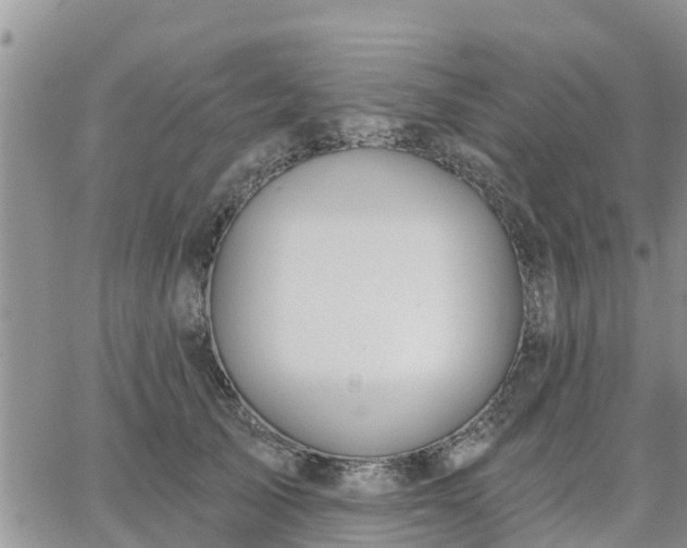 X0000064740705200602171707