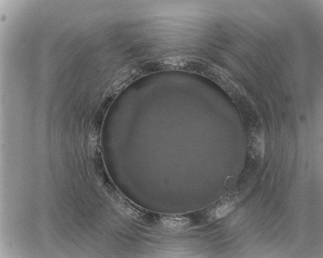 X0000064740707200602171707