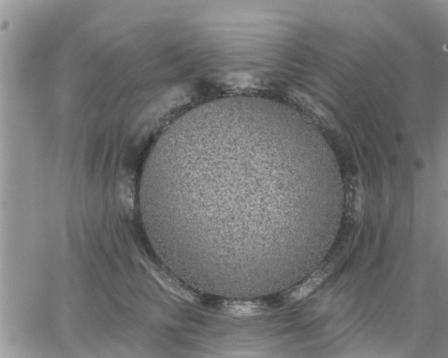 X0000064740710200602171707