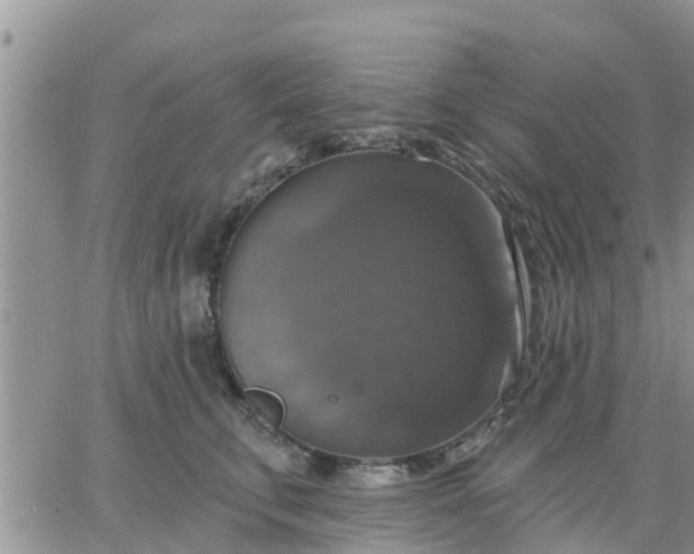 X0000064740711200602171707