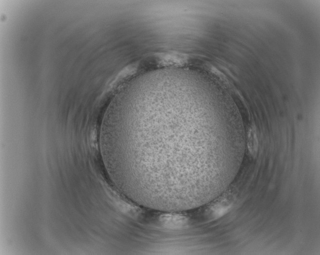 X0000064740714200602171707