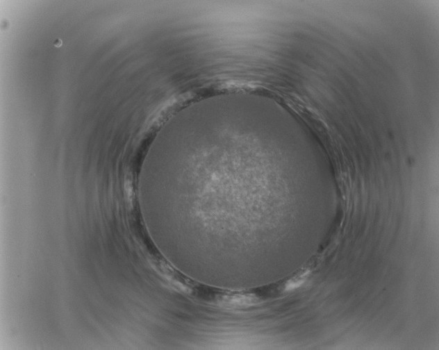 X0000064740716200602171707