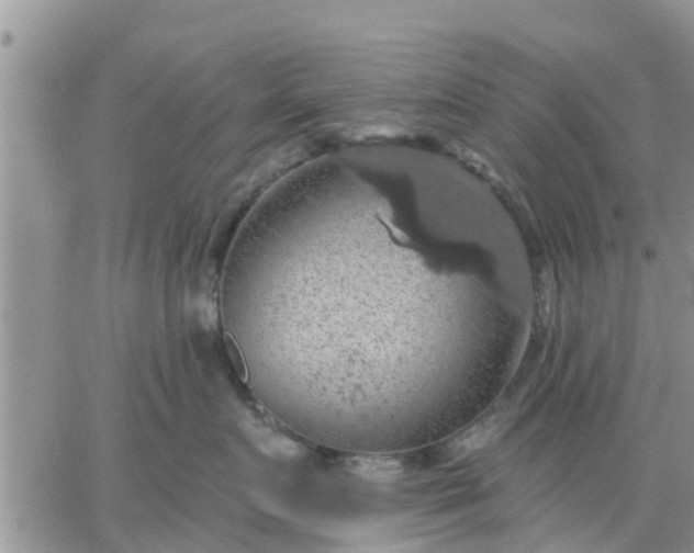 X0000064740719200602171707