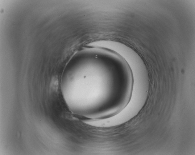 X0000064740720200602171707