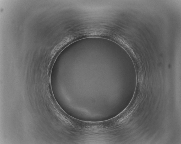 X0000064740721200602171706