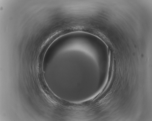 X0000064740722200602171706