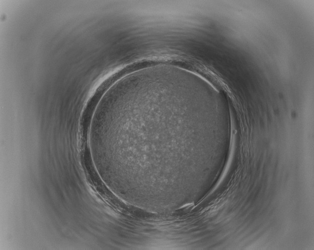 X0000064740724200602171706