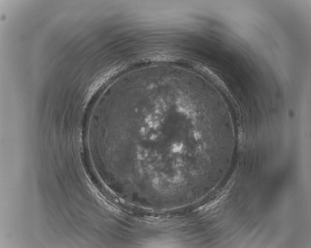 X0000064740725200602171706