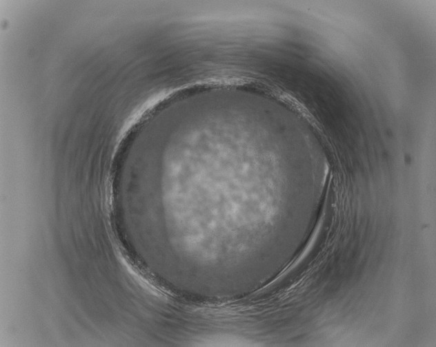 X0000064740726200602171707