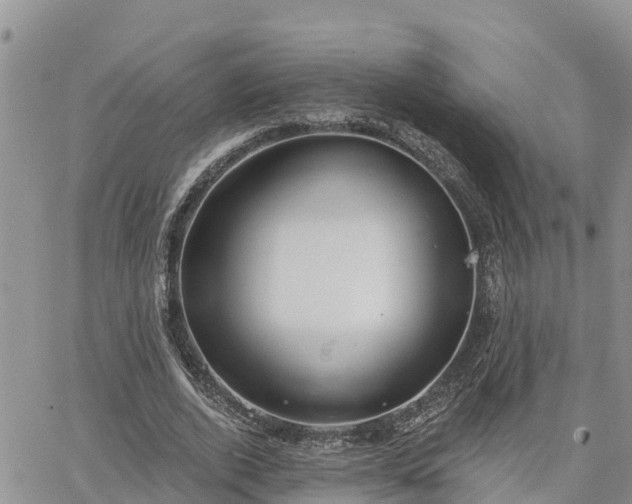 X0000064740728200602171707