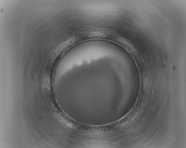 X0000064740729200602171707