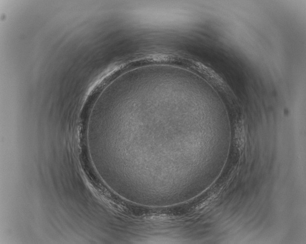 X0000064740730200602171707