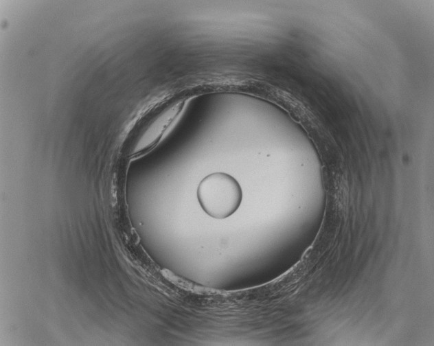 X0000064740731200602171707