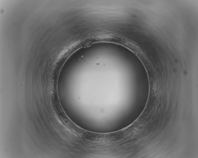 X0000064740732200602171707