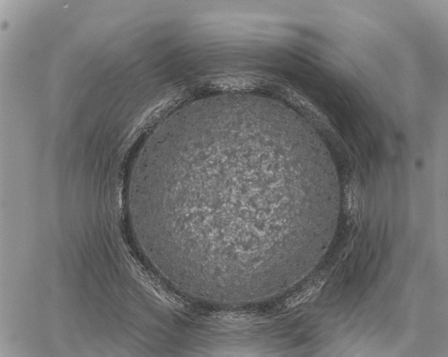 X0000064740733200602171707