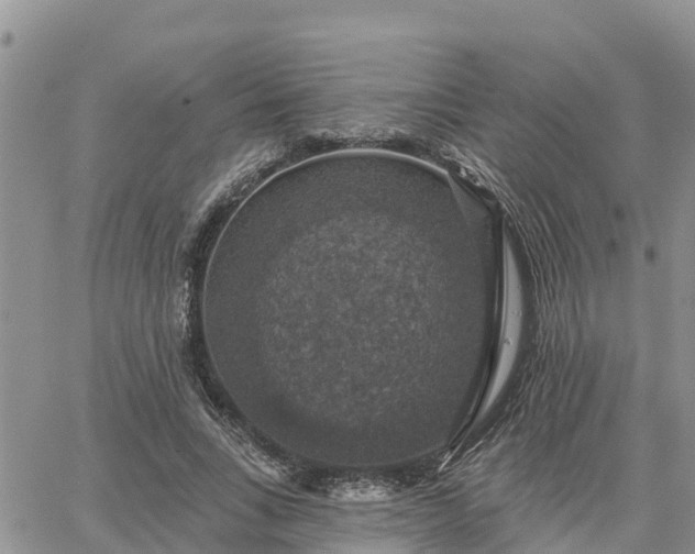 X0000064740735200602171707