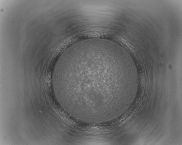 X0000064740737200602171707