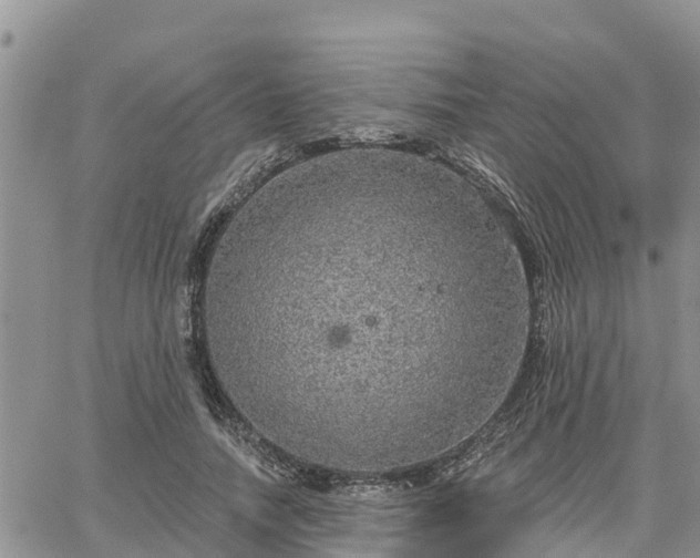 X0000064740738200602171707