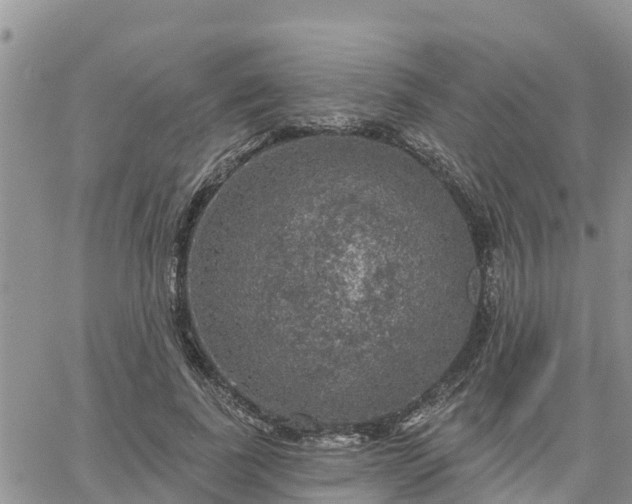 X0000064740739200602171707