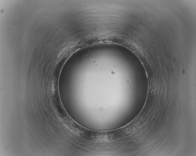 X0000064740740200602171707