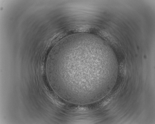 X0000064740741200602171707