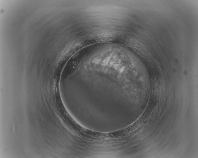 X0000064740742200602171707