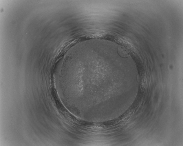 X0000064740743200602171707