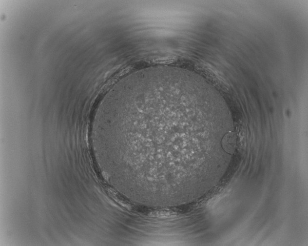 X0000064740745200602171707