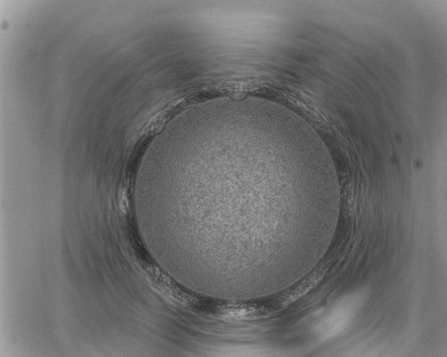 X0000064740746200602171707