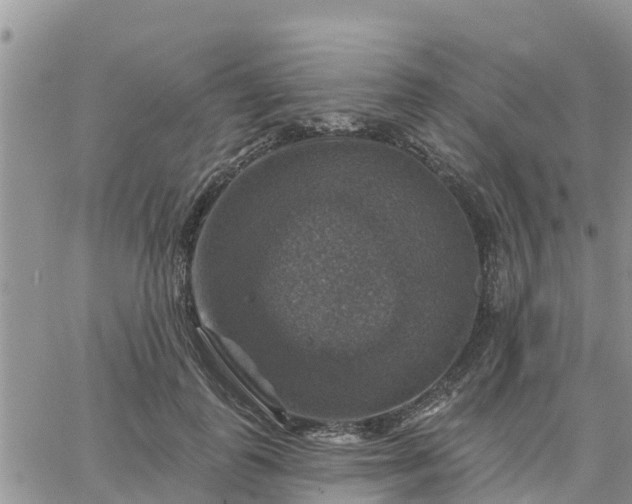 X0000064740747200602171707