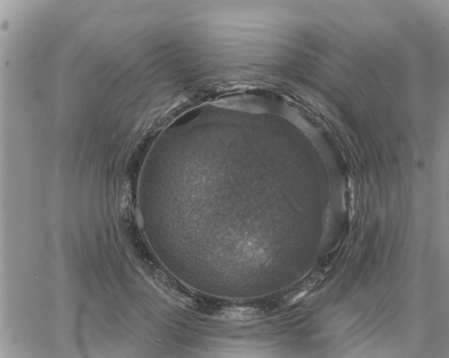 X0000064740748200602171707