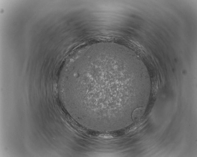 X0000064740749200602171707