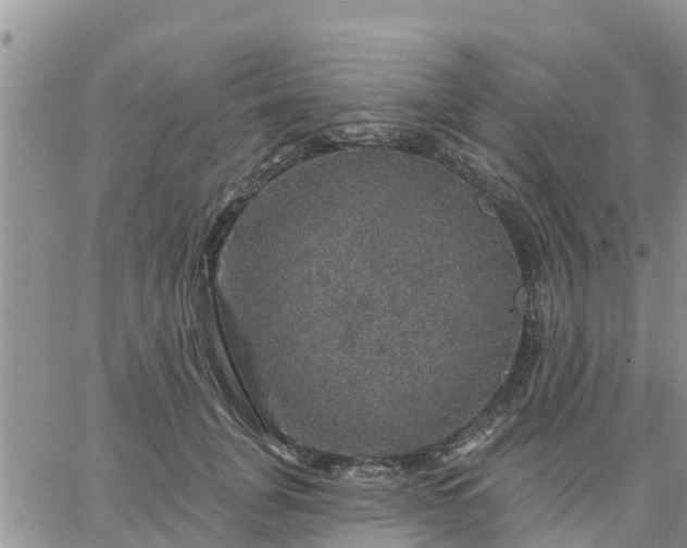 X0000064740751200602171707