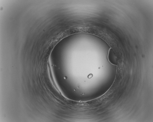 X0000064740752200602171707