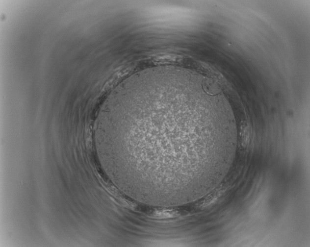 X0000064740753200602171707