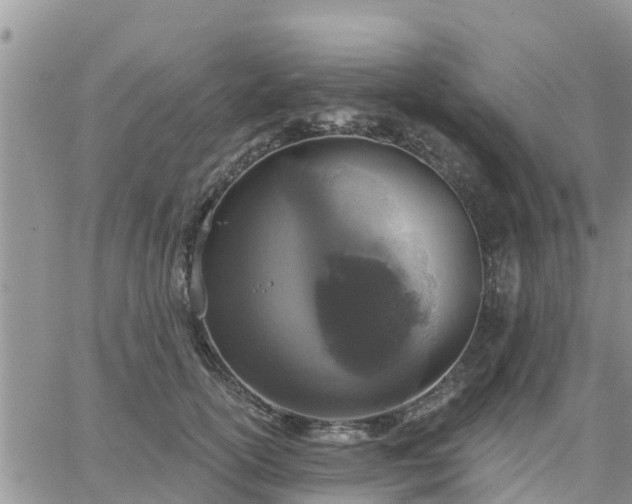 X0000064740754200602171707